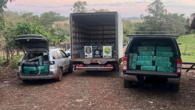 Mais de quatro toneladas de maconha são apreendidas em chácara no interior de Santa Helena