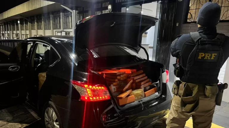 Quase meia tonelada de maconha é apreendida na BR-277