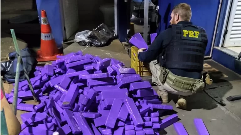 Mais de 300 quilos de maconha são apreendidos após perseguição na BR-277