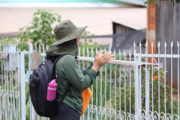 Infestação pelo Aedes aegypti em Marechal Rondon é de 1,2%
