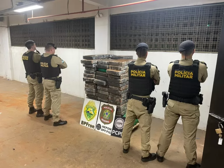 Uma tonelada de maconha é apreendida em área de mata em Santa Helena