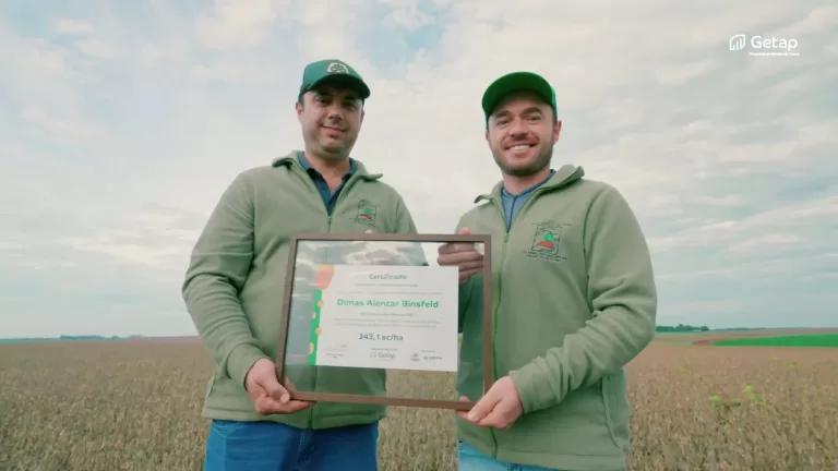 Agricultor bate recorde de produtividade de milho ao colher 343,1 sacas por hectare