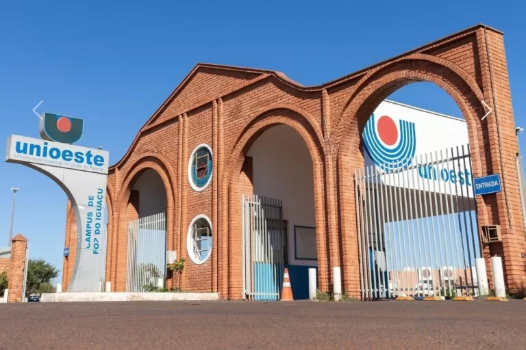 Unioeste promove pesquisa sobre saúde mental de estudantes de Medicina no Paraguai