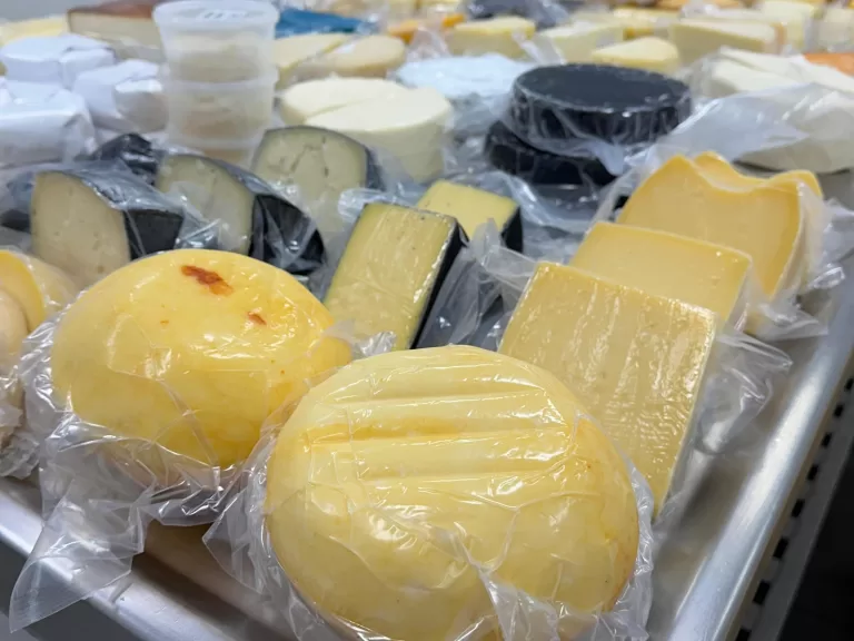 Pelo segundo ano consecutivo, as tecnologias do projeto Queijos Finos do Biopark conquistam 12 medalhas no Prêmio Queijo Brasil