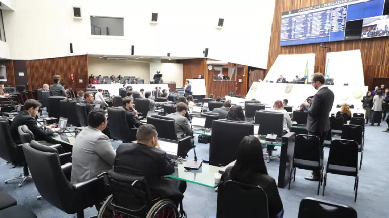 Última sessão plenária aprova medidas para prevenir o abuso infantil