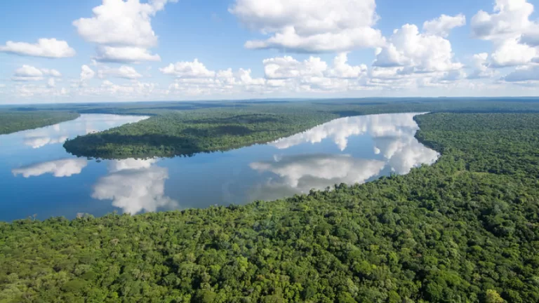Deputado Goura apresenta projeto de lei para eliminar espécies invasoras na bacia do Rio Iguaçu