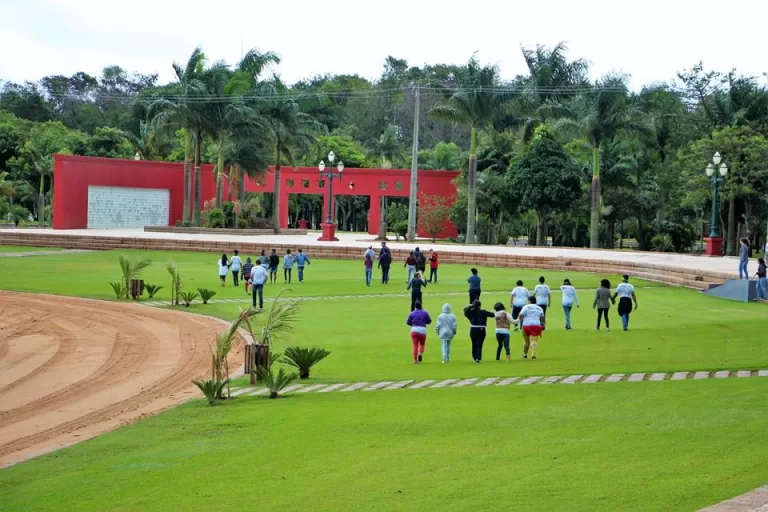 Inscrições para a Gincana Jovens Lindeiros Ligados à Vida encerram esta semana