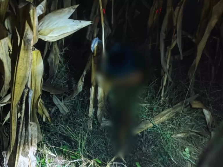 Indígena é morto e decapitado no interior de Guaíra