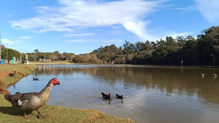 Marechal Cândido Rondon terá domingo de clima instável e pancadas de chuva