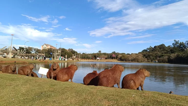 Sábado será de calor intenso e tempo seco em Marechal Cândido Rondon