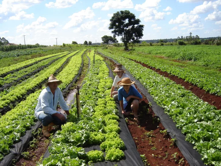 Prefeitura de Toledo organiza programação para a Semana do Agricultor