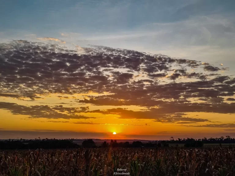 Quanta coisa grátis a gente tem…