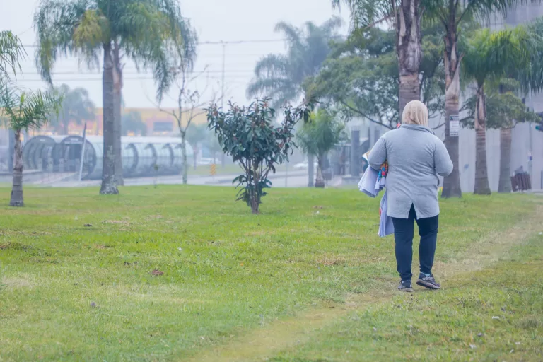 Julho começa com temperaturas negativas no Paraná, registra o Simepar