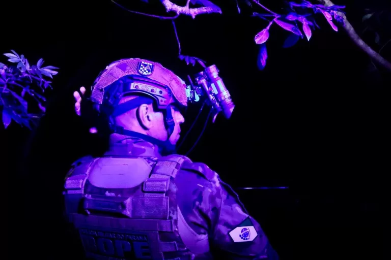 Operação Sinergia II avança no combate ao crime: 1 tonelada de maconha já foi apreendida