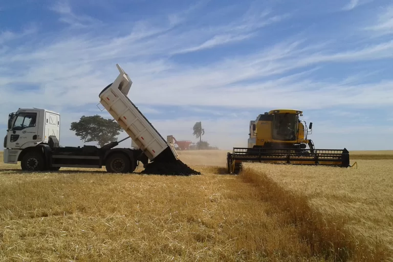Agricultores celebram produtividade e menor custo com adubo gratuito da Sanepar