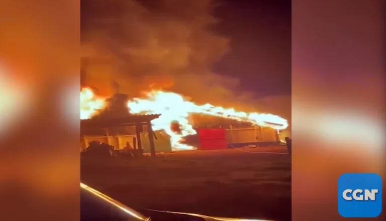 Incêndio destrói aviário em área rural da região e causa a morte de 21 mil pintinhos