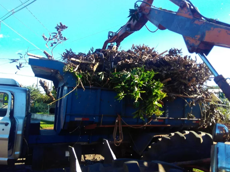 Recolha de galhos e entulhos no distrito de Margarida inicia no dia 30