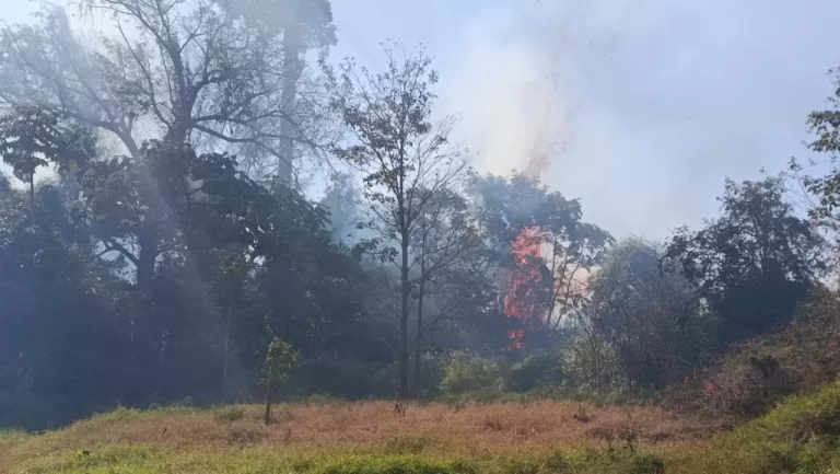 Incêndio em lavoura de milho mobiliza bombeiros em Toledo