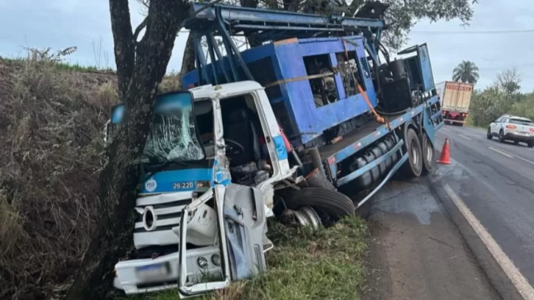 Motorista fica ferido após colisão entre caminhões e árvore na BR-163