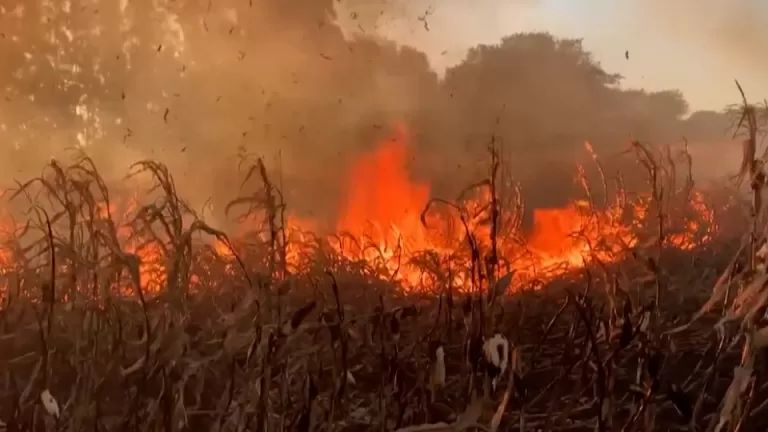 Mais de 30% dos incêndios no Paraná são causados por queima proposital de lixo em 2025