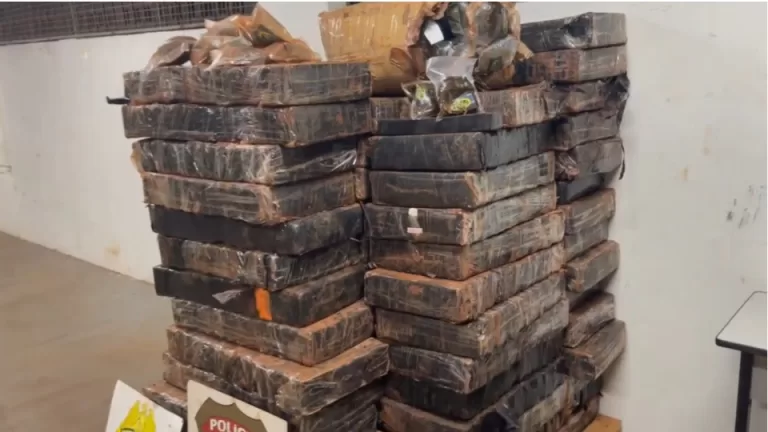 Uma tonelada de maconha é apreendida na área rural de Santa Helena