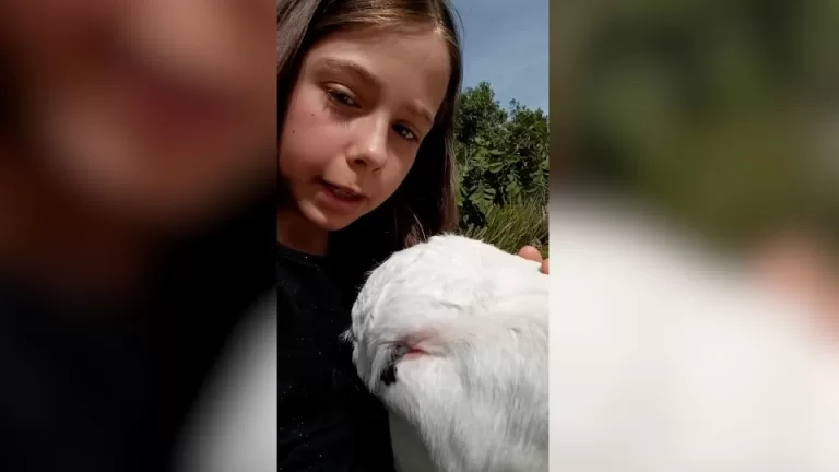 Menina de 10 anos junta economias e compra bezerro por R$ 50 no Paraná