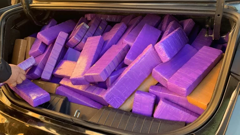 Mulheres são presas transportando maconha na BR-277 em Cascavel