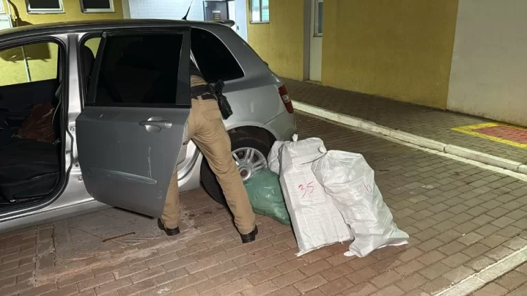 Casal é preso com 144 quilos de maconha na BR-277