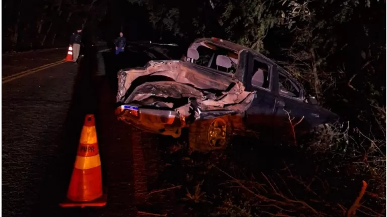Dois morrem após caminhonete bater em árvore e capotar 