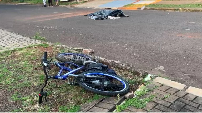 Ciclista morre em queda após atropelar gato