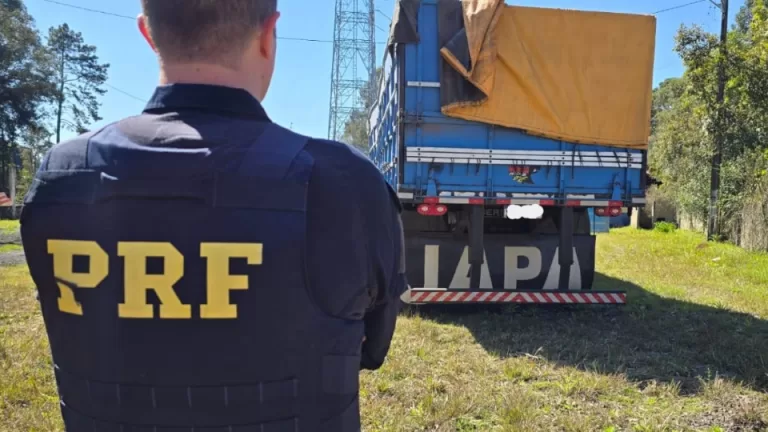 PRF apreende 140 mil carteiras de cigarro e 800 garrafas de vinho 