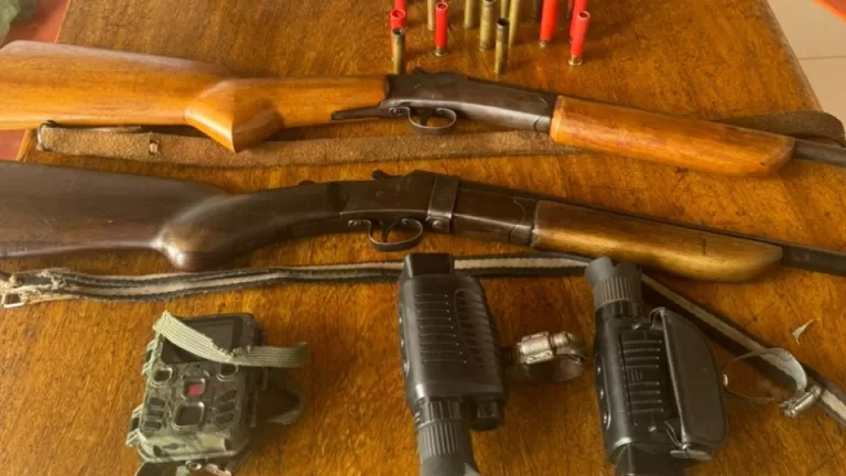 Homem é preso por furto de gado e posse ilegal de armas em Iporã