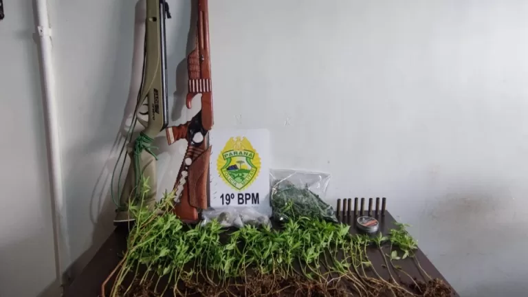 Homem é preso com plantação de maconha e munições em Toledo