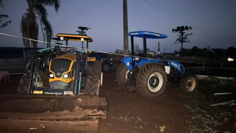 PF deflagra operação contra extração ilegal de madeira em terra indígena no Paraná