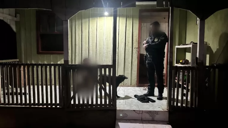 Adolescentes são alvos de mandados após suspeita de planejar atentado em escola do Paraná