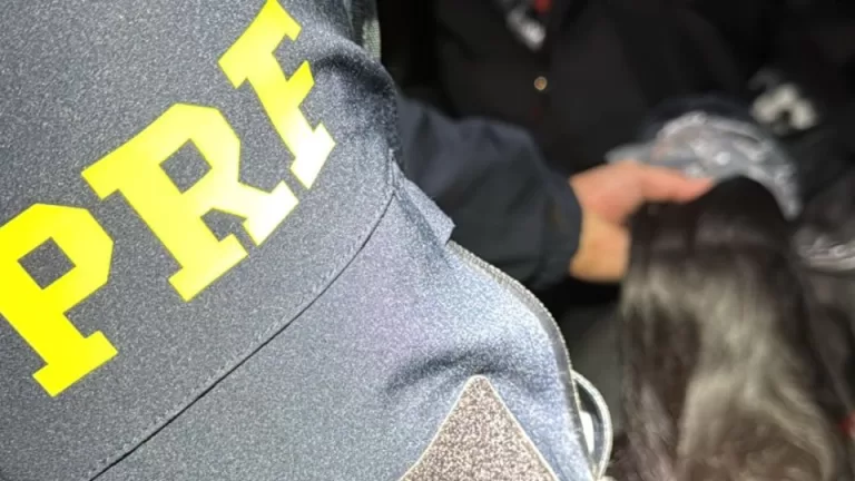 Mais de 160 quilos de cabelo humano são apreendidos no Paraná