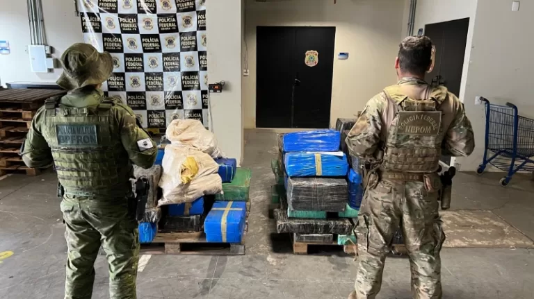 PF e BPFron apreendem uma tonelada de maconha em Terra Roxa