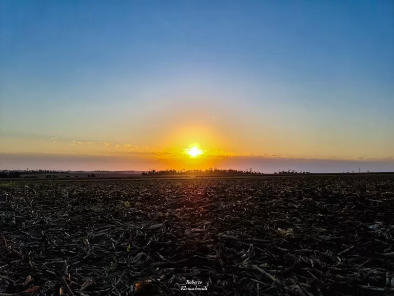 Paixão a cada olhar
