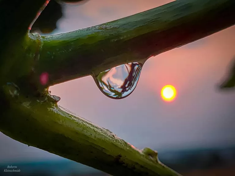 Faça com o coração; viva com amor