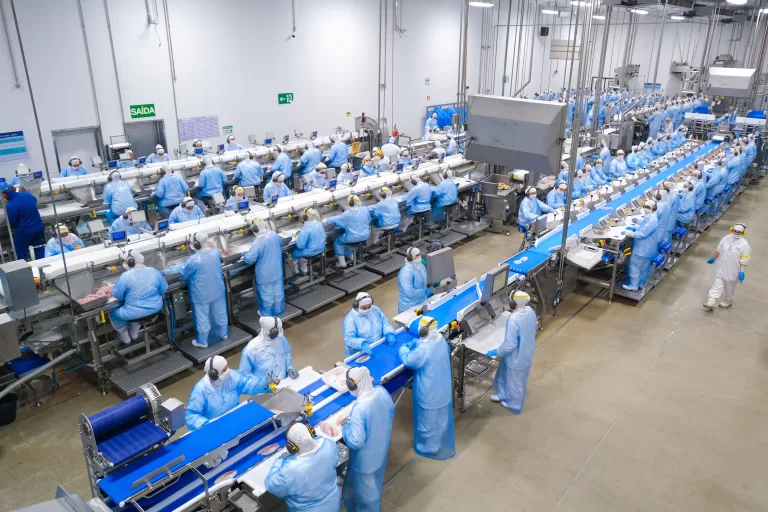 Tarifas norte-americanas afetam cadeia produtiva da piscicultura brasileira