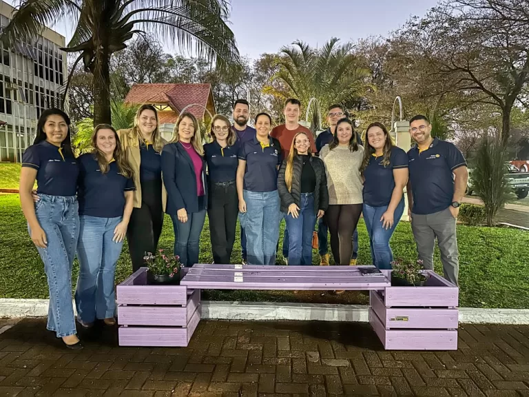 Rotary Club Gralha Azul apresenta Projeto Banco Lilás em Marechal Rondon