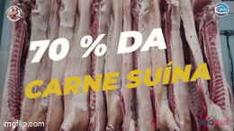 Confira o 4º episódio da série Expedição Suinocultura: Rotas do Brasil