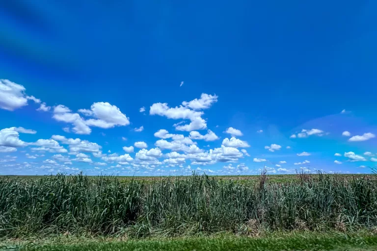 RMC e Sul do Paraná registraram seca em julho, aponta monitor da ANA