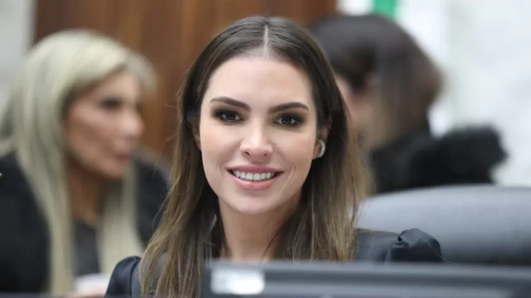 Creches e educação serão temas da reunião da Frente Parlamentar da Primeira Infância