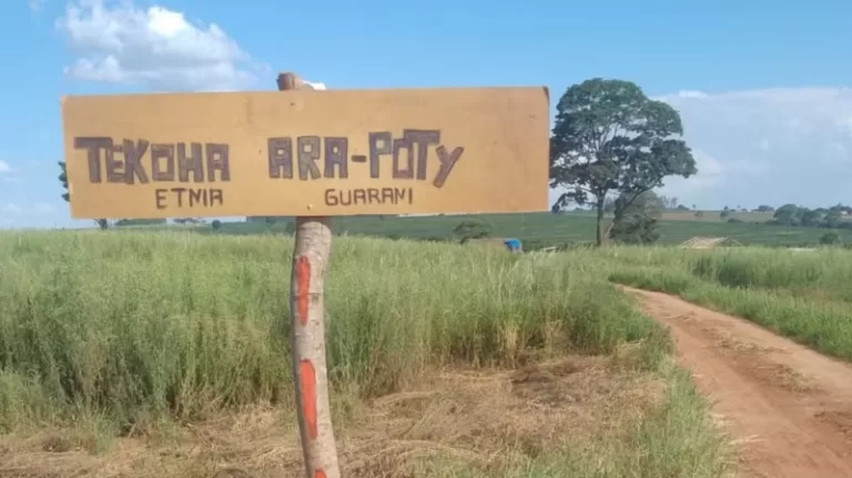 Primeiras famílias indígenas são assentadas em terras compradas pela Itaipu