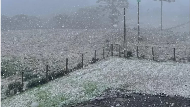 Rio Grande do Sul registra neve em algumas localidades