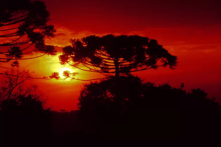 Julho foi seco e gelado, com temperaturas abaixo da média histórica, aponta Simepar