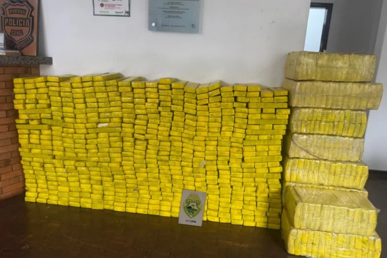 Operação da PMPR, PF e Receita Federal apreende 627 quilos de maconha em Rolândia