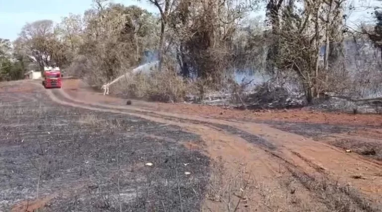 Incêndio em vegetação mobiliza bombeiros no interior de Quatro Pontes