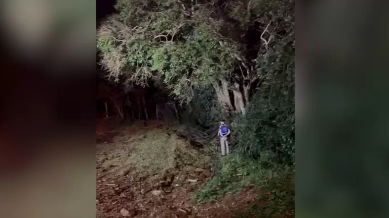 Mulher é encontrada morta em córrego